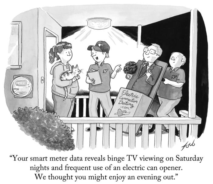 smart meter cartoon