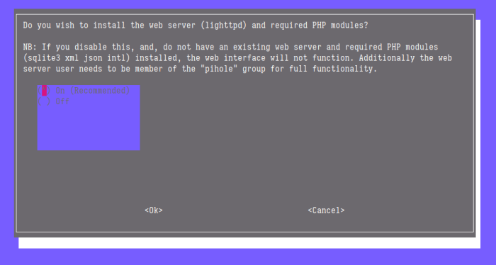 webserver pihole