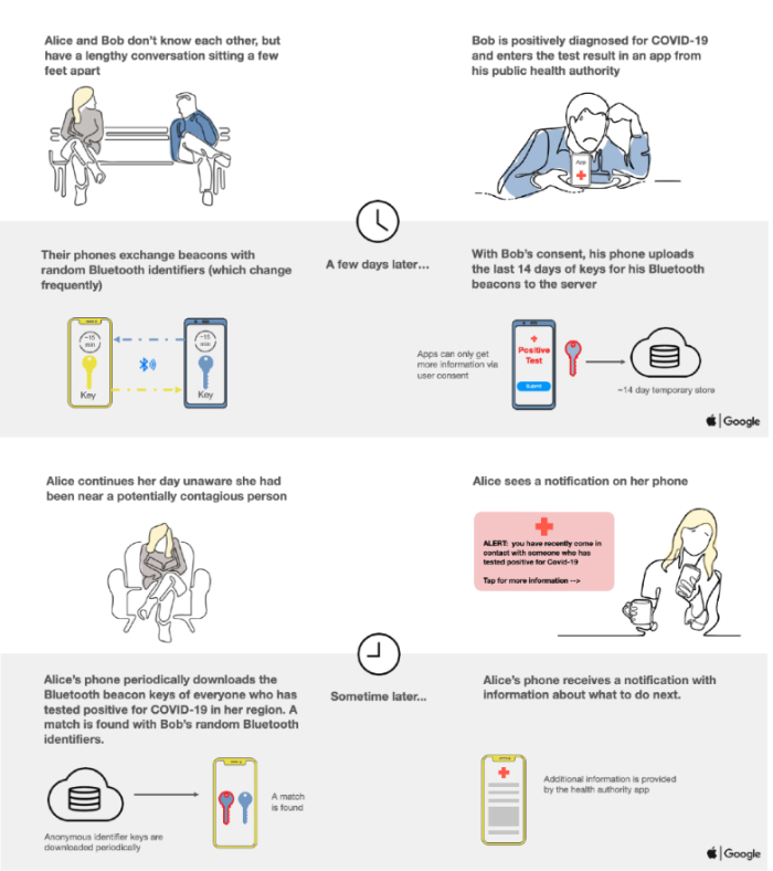 Alice and Bob's phones exchange beacons with random, frequently changing, identifiers. This allows for notifying others if someone laters tests positive