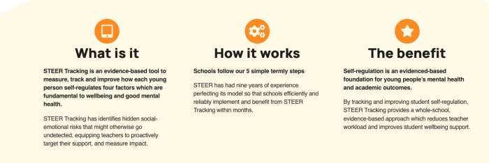 A screen shot from STEER's website which claims their software will 'measure, track, and improve how each young person self-regulates four factors which are fundamental to wellbeing and good mental health'/