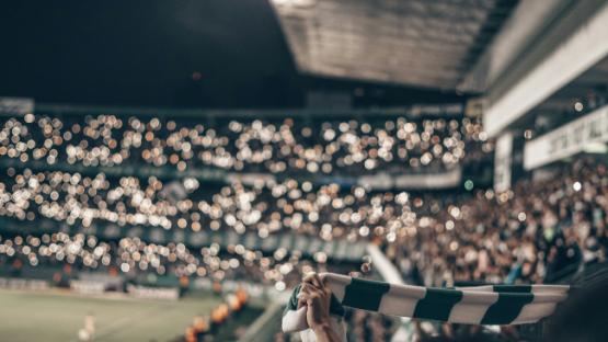 Image of fan holding scarf in a busy sports arena at night 