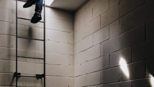 person climbing ladder